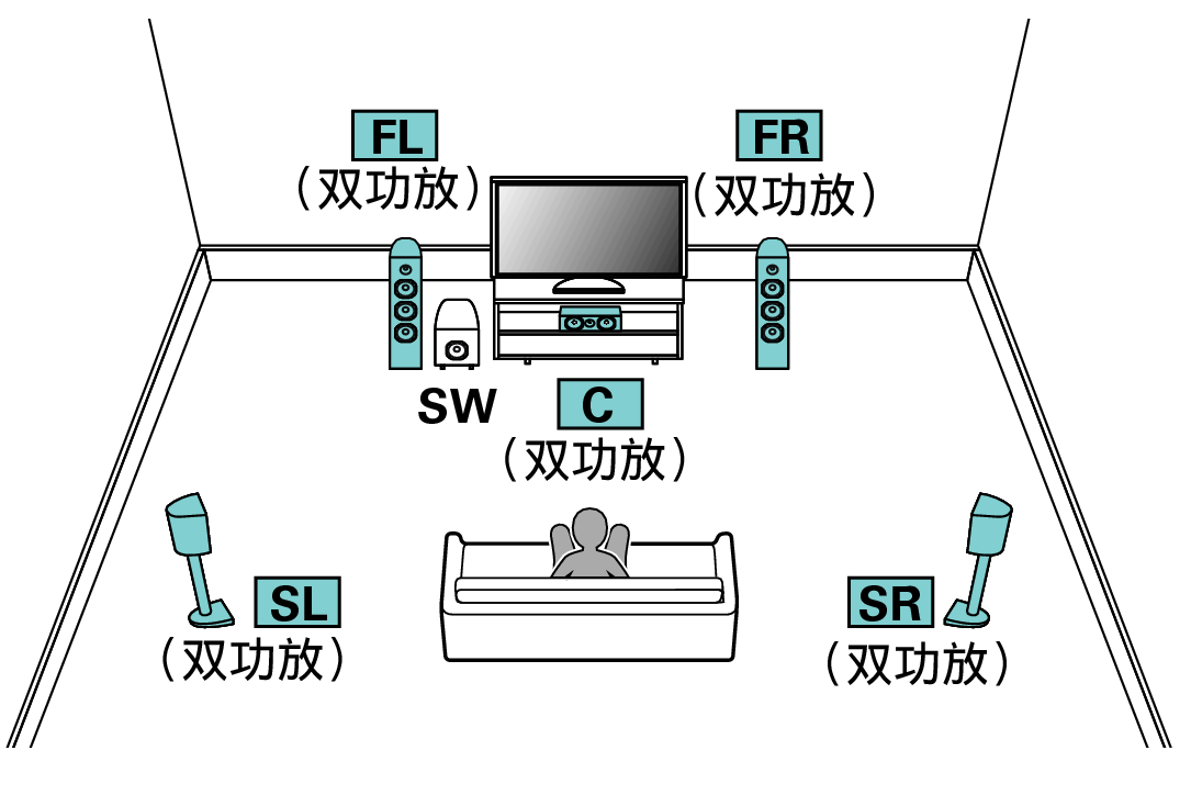 Pict SP Layout 5.1 BiAmp X64